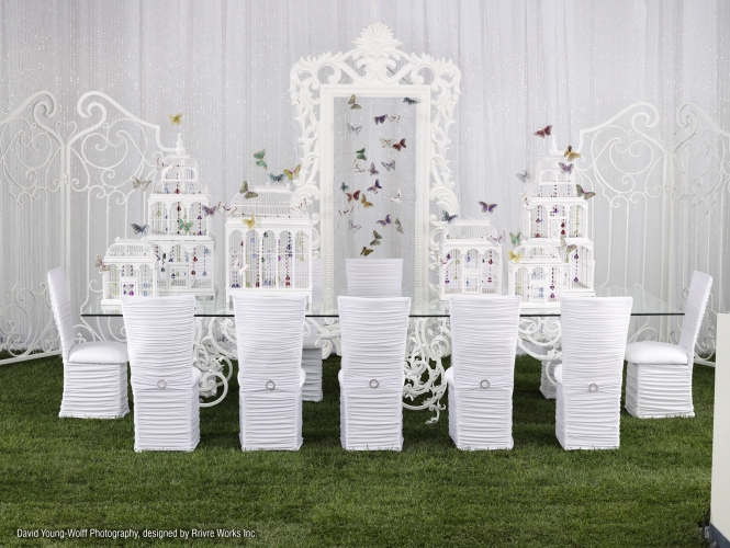 Intimate Events - 2008 - Enchanted White Chloe