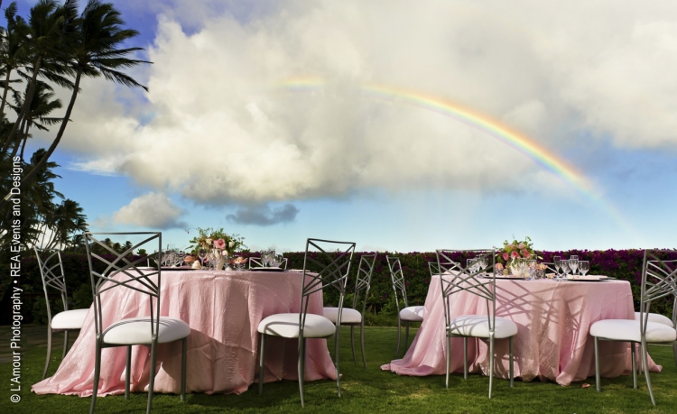 Intimate Events - 2011 - Chameleons in Heaven? (Hawaii) - REA Events and Design (L’Amour Photography)
